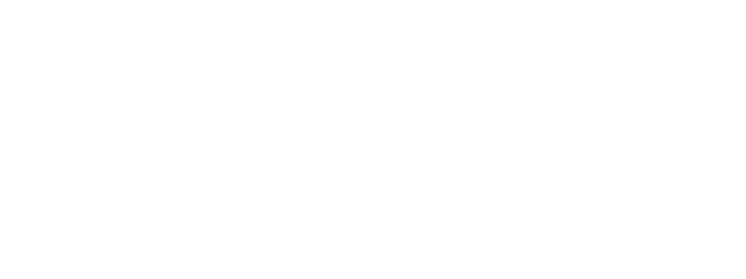 Topgun logo
