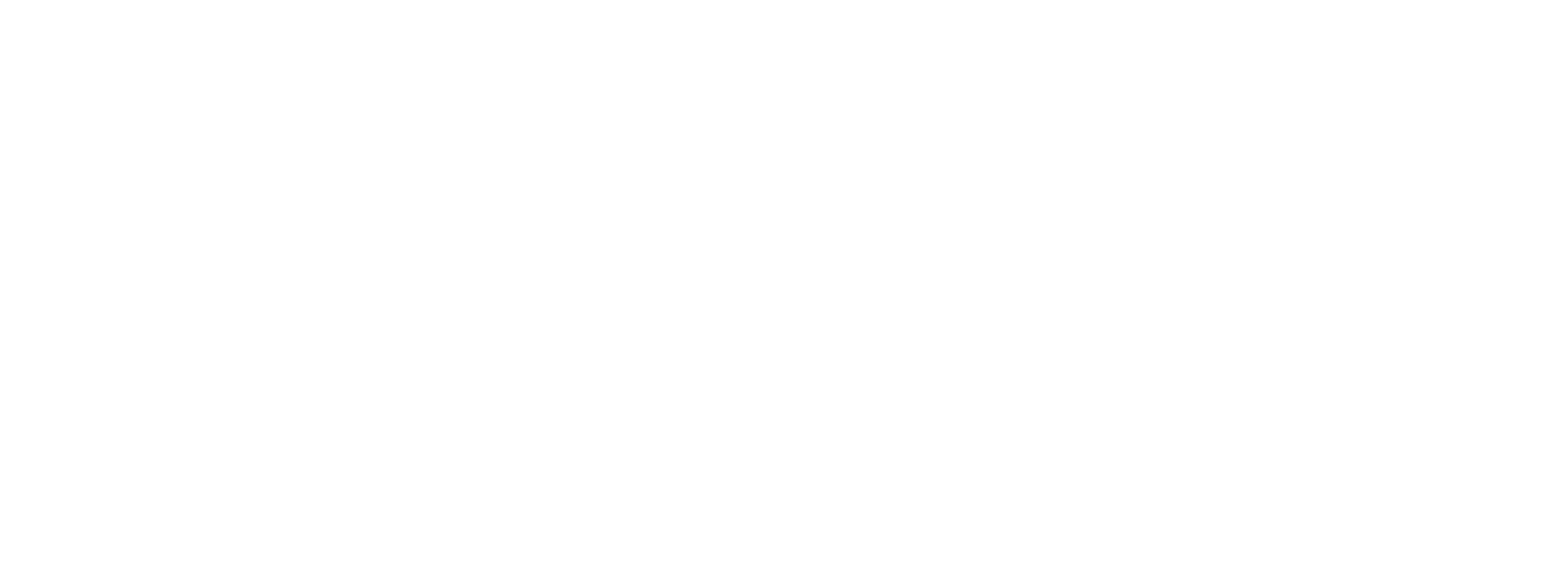 Topgun logo